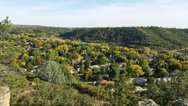 Gray Heights Palmer Park View