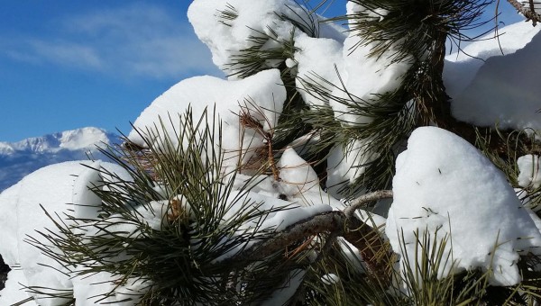 Colorado's Four Seasons